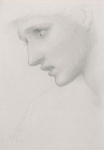 Female head in profile to the left by Edward Burne Jones